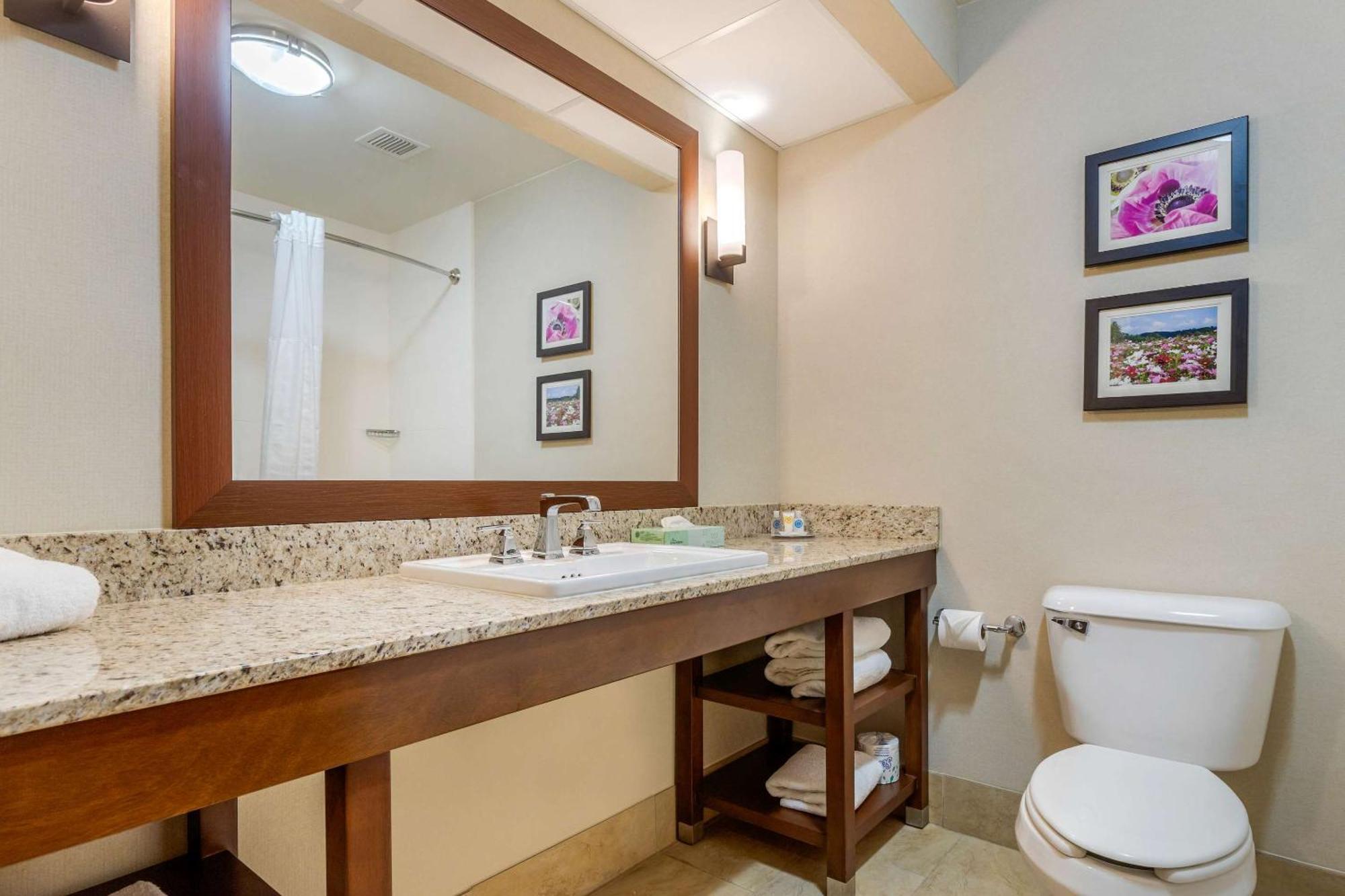 Comfort Suites Gastonia - Charlotte Buitenkant foto